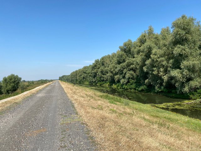 The Danube dike upstream Isaccea