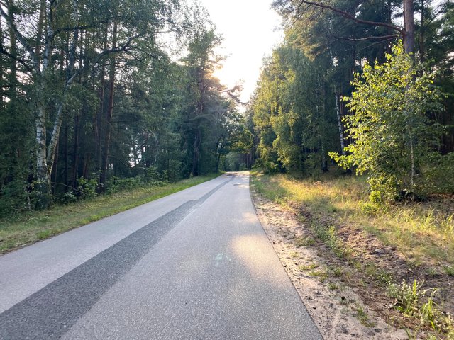 Love cycling in the evening light it’s so peaceful