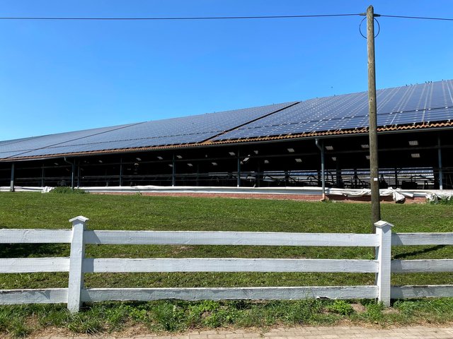 2021 next gen solar/cow farming