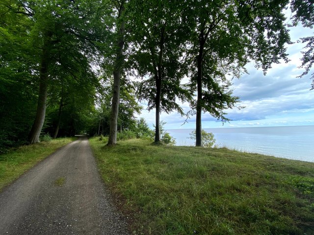 Such a pleasure cycling on the Baltic coast