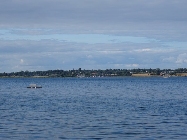 The swimmer bench