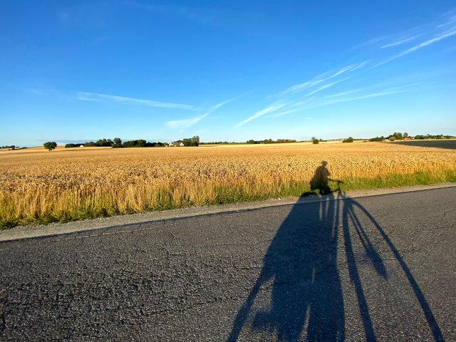 Self-portrait on asphalt :)