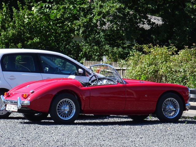 Spotted this red beauty on the side of the road today