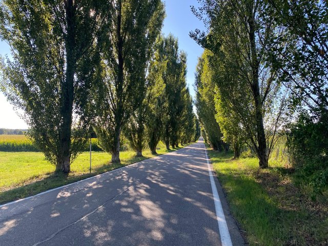 Feeling like a ”italiano” cycling along this beautiful countryside road