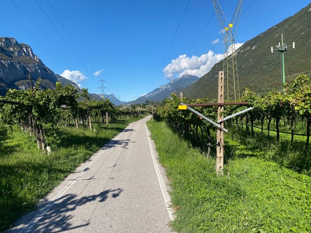 Really nice to ride through all these vineyards