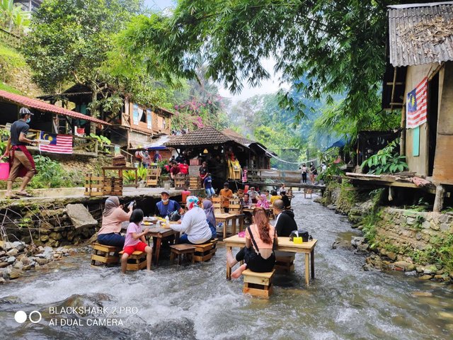 Dining on a stream