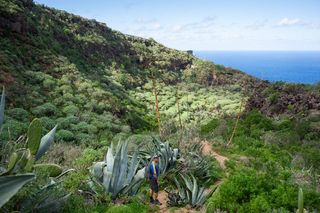 A Hike From the Barranco de Ruiz