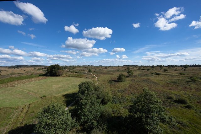 The trail visible from the tower!