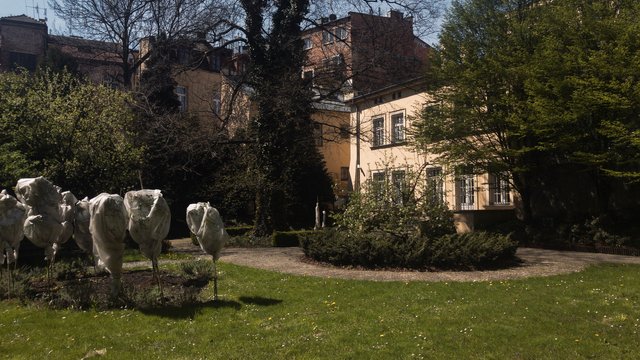 Widok na Muzeum z ogrodu