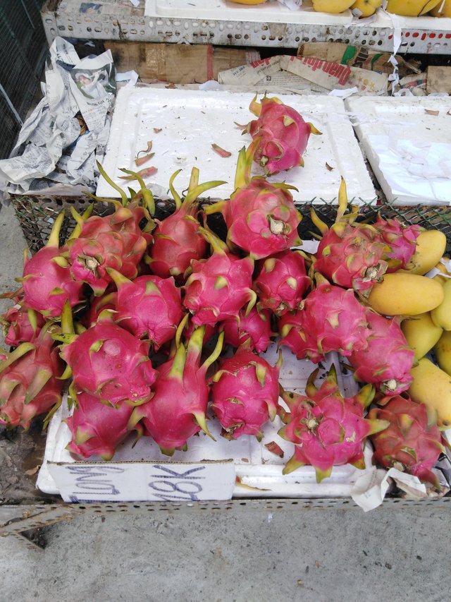Huge dragon fruits? Yes, they have it!
