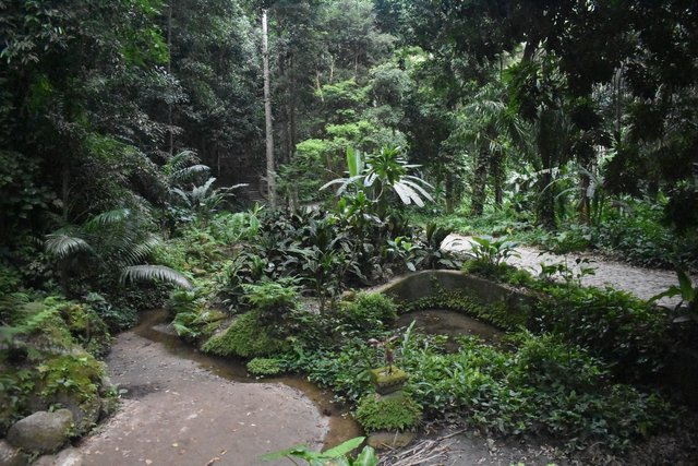 View of the trails and artificial lakes