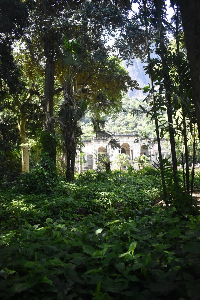 Palacete hidden in the trees