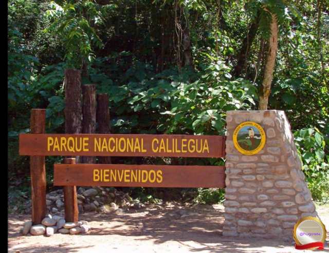 A virtual journey through the national parks of Argentina: Calilegua.