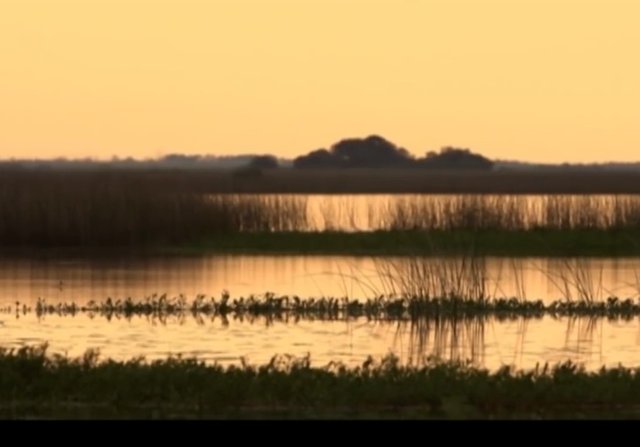 The Esteros del Iberá in Corrientes boast of having one of the most beautiful sunsets in Argentina.