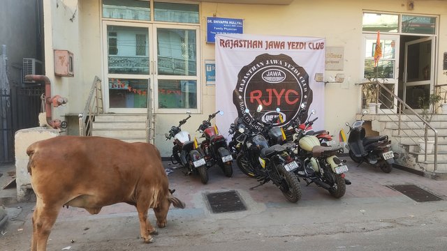 ”Rajastan Jawa Jezdi Club”