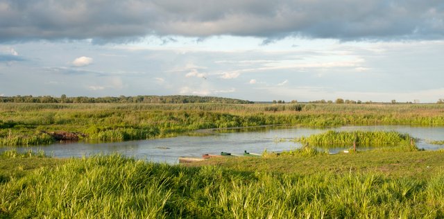 Narew River