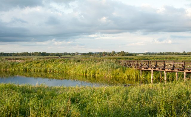 Footbridge and Narew River