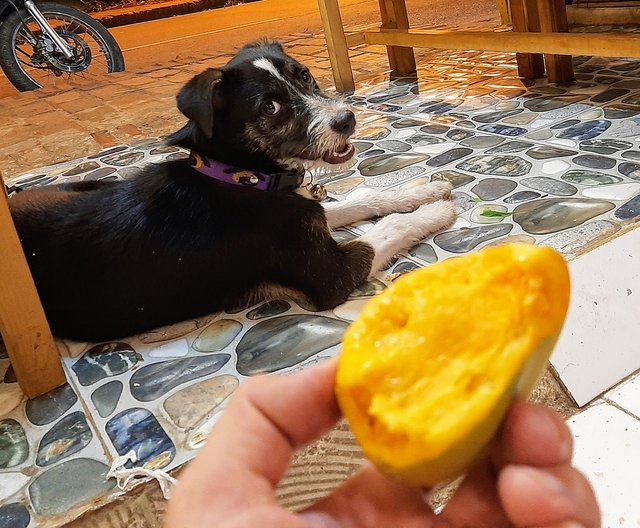 Want some mango Gigi?