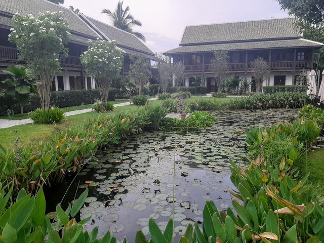 pond