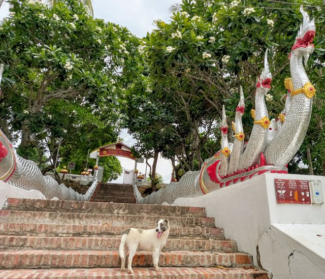 temple pose