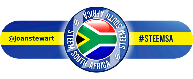 Steem South Africa @joanstewart