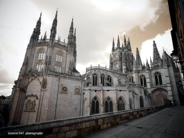 Gothic beauty and harmony