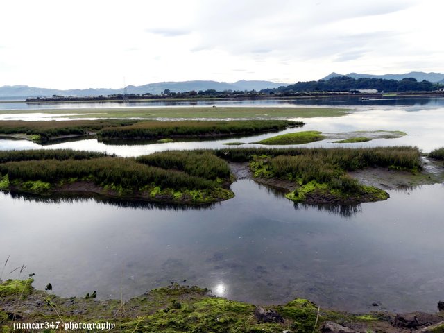 Panoramic of the marshes