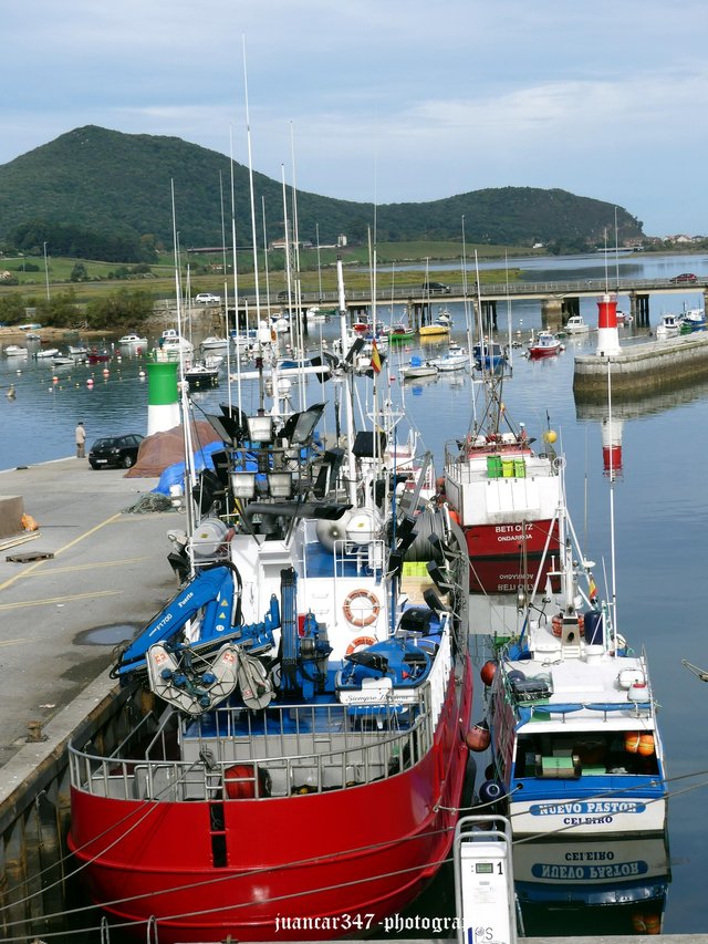 Different offshore and inshore fishing boats