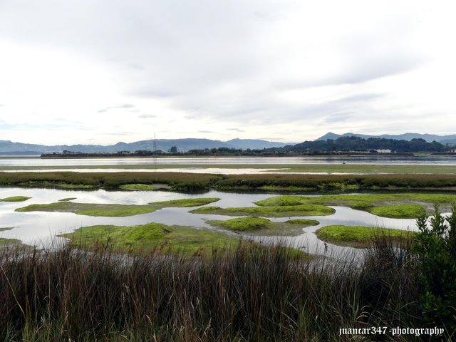 Biodiversity site