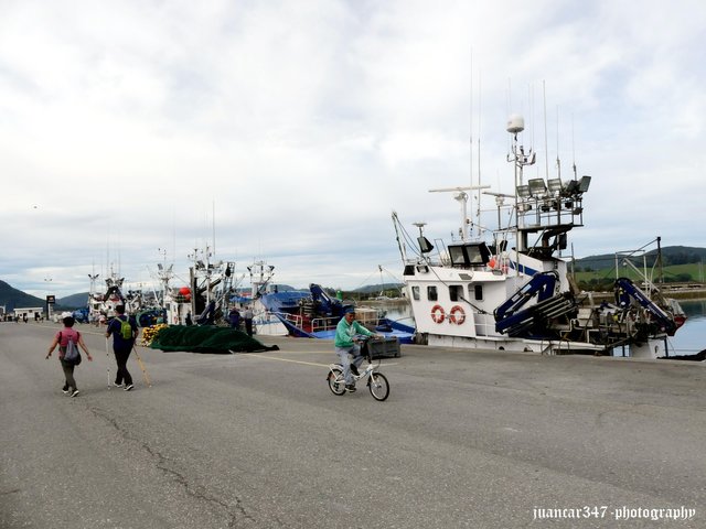 The moored fleet