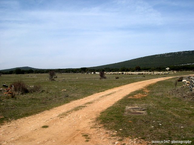 Lonely farmland roads