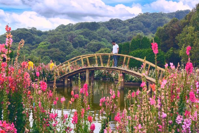 Doi Inthanon National Park Chiang Mai, Thailand 