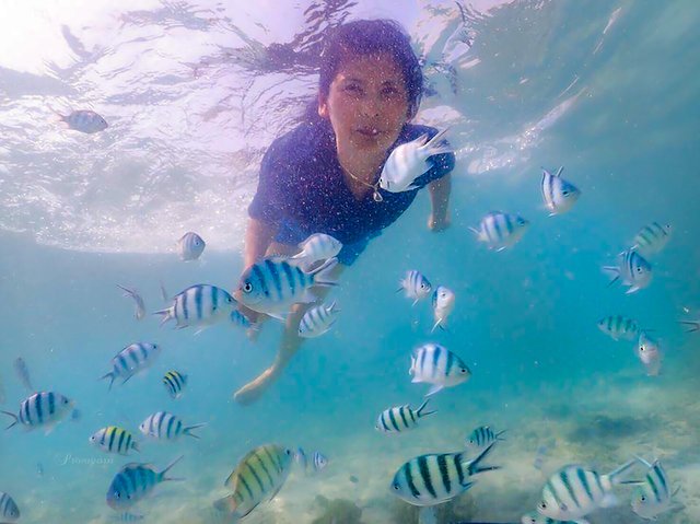 My sister diving to swim with the fish.