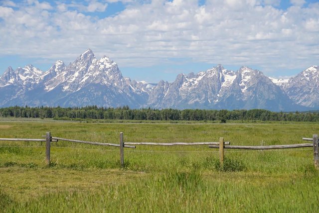 yellowstone.jpg