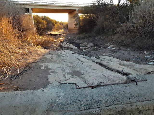 This river bed has been dry for a few years