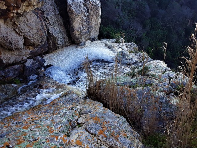 Overflowing pools of plenty