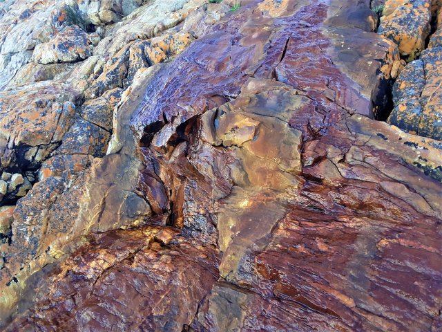 Fresh water springs out of the cliff side and brightens up the rock face near the shoreline