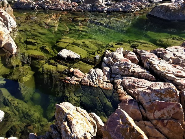 Curious pools left behind by the receding tide
