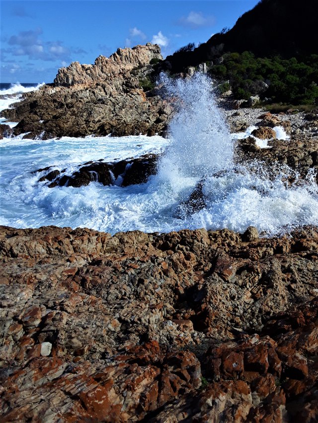 Capturing the eternal flow of timeless oceanic momentum is possible when you get into the zone