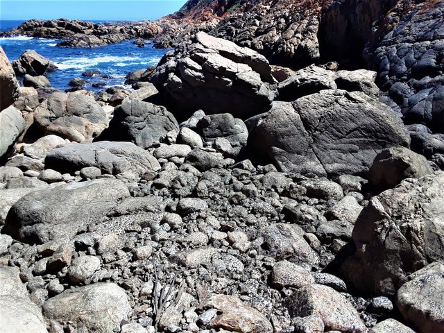 Rocky shoreline made grey by recent foam washed up on the lesser known side of the peninsula