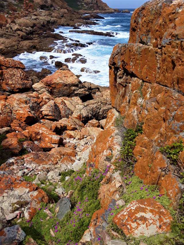 Dramatic shoreline along the southern stretch of Africa