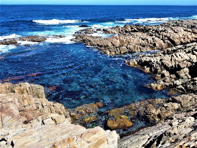 Clear pools for swimming in the warm Indian ocean, lush with life