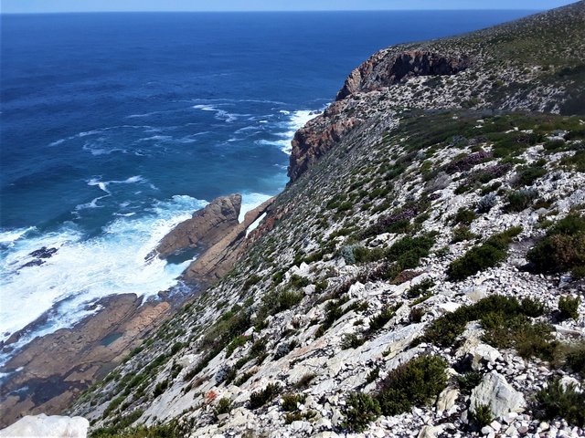 A sheer drop to the rocky shoreline below - fortunately there are hidden paths down