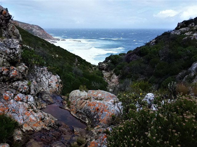 Upper section of the stream on a windy day