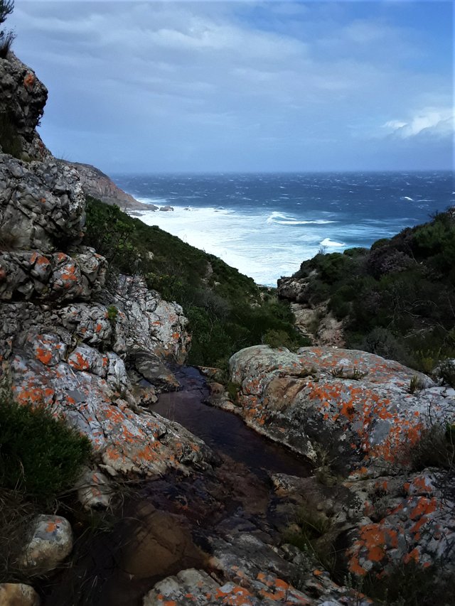 Wild and windswept, adding to the dramatic Indian ocean swell on the south coast of Africa