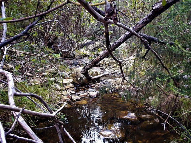 Slightly further upstream to a sheltered spot in the gorge