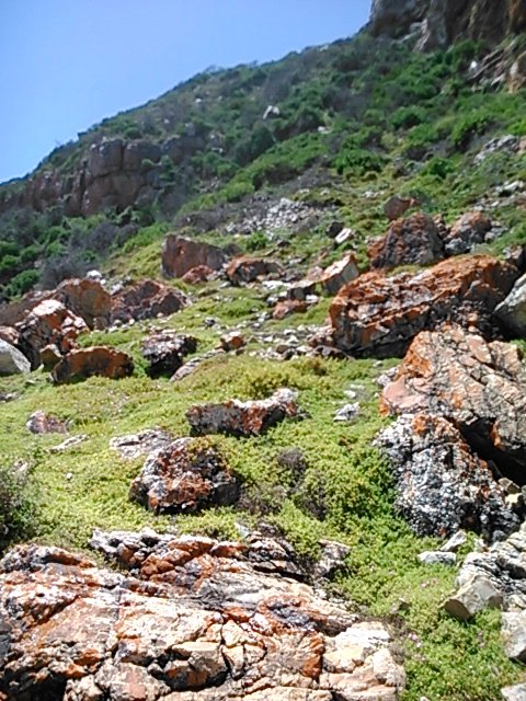 Access route to the cave on the shoreline from the cliffs above