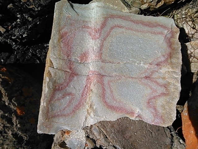 Contemplating the beauty of nature in the simple harmonious patterns on a rock