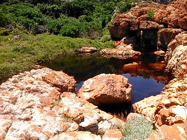 A fresh water pool from the stream near the seashore