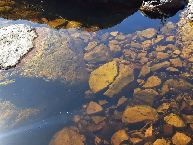 My place of meditation om the hiking trail... If you look deeply enough, you can almost see your self.